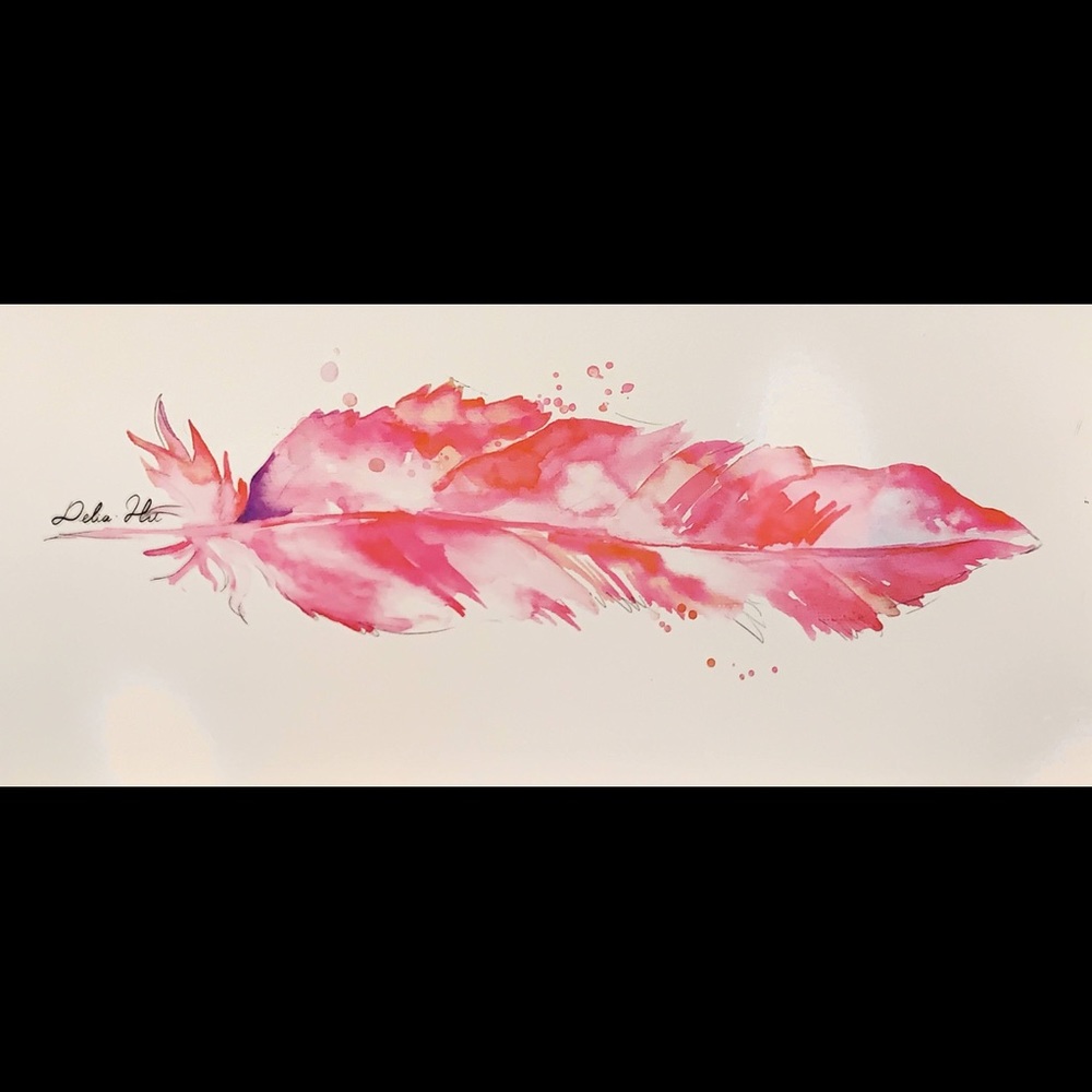 Water color Feather picture in wood frame